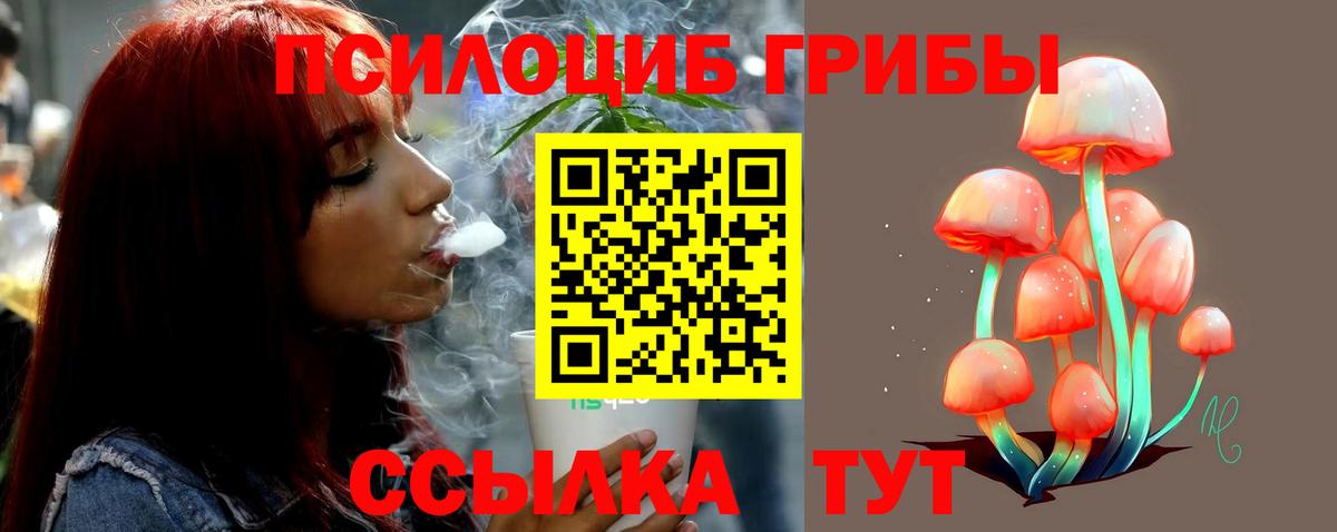 Галлюциногенные грибы Psilocybe  Зерноград 